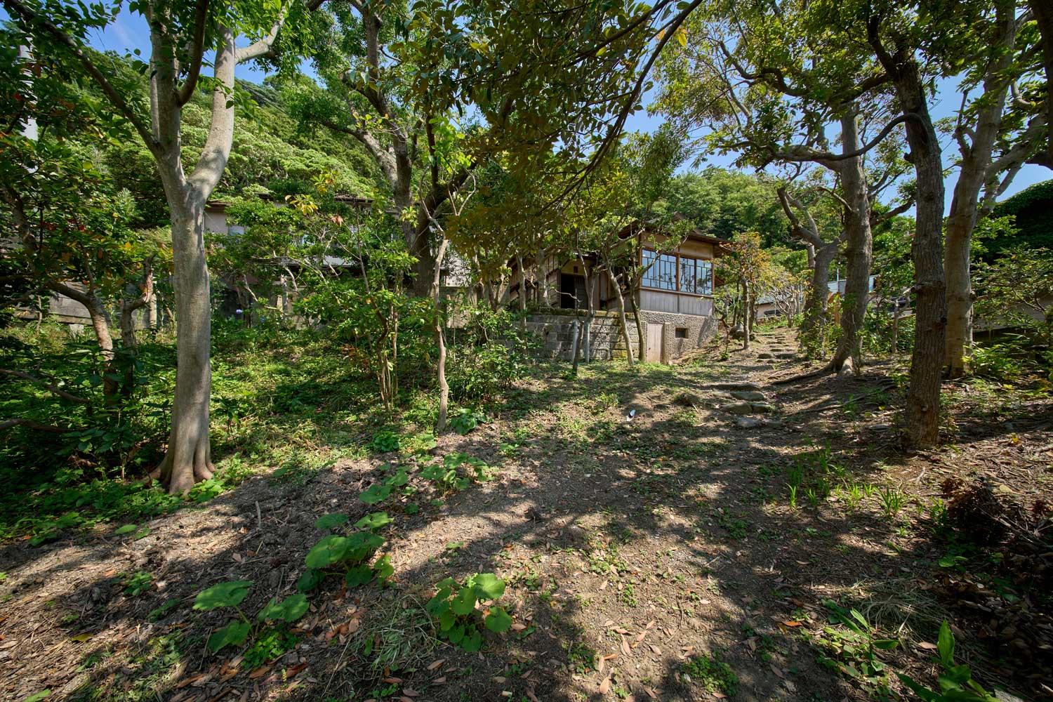 庭側から見た旧宮城道雄別邸。緑の中に母屋と縁側が続く。
